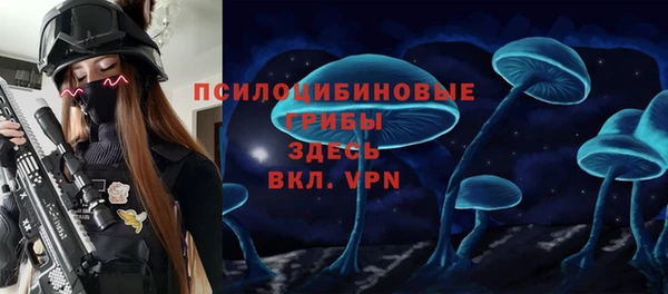 ешки Алексин