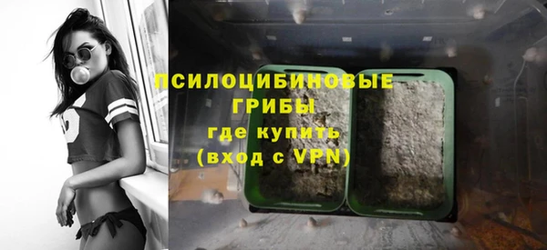 спиды Алзамай