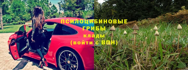 ешки Алексин