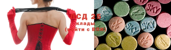 ешки Алексин